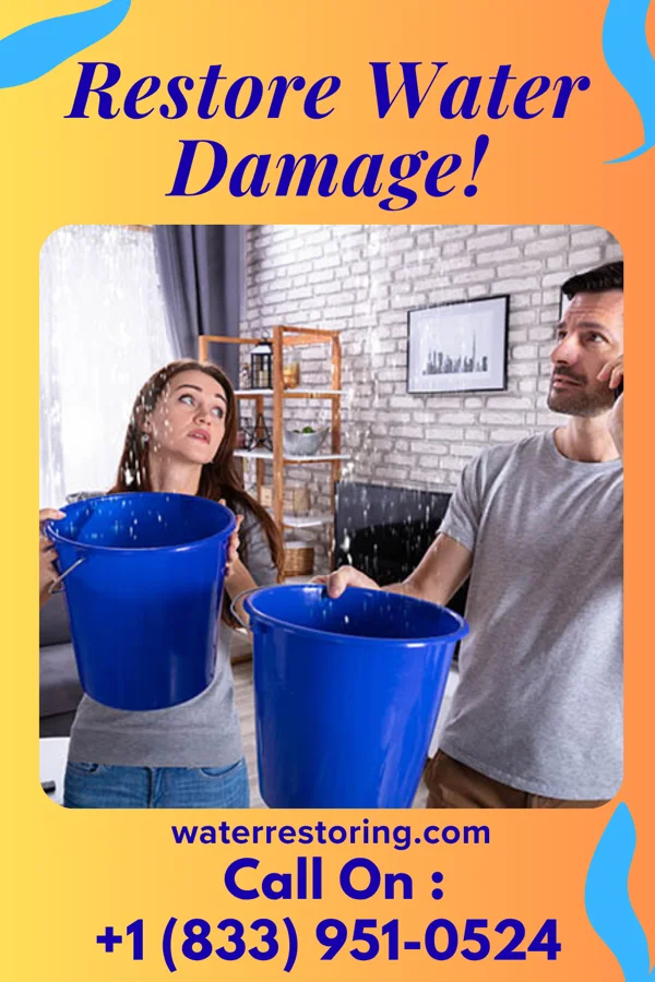 water restoration Ace Flood Recovery Pros Wilsonville