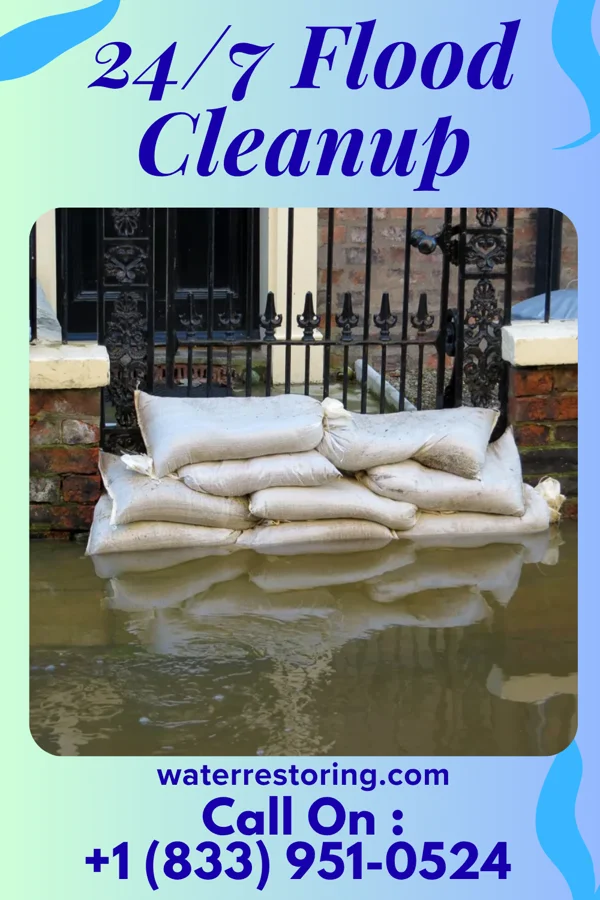 24/7 Flood Cleanup in Wilsonville, IL